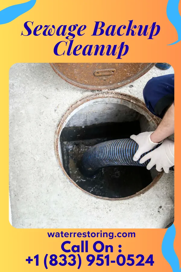 Sewage Backup Cleanup in Armington, IL