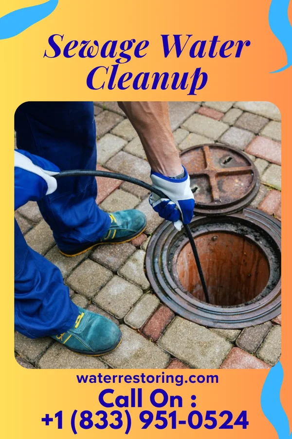 Sewage Water Cleanup in Armington, IL